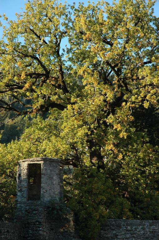 Agriturismo Casteldelpiano Licciana Nardi Extérieur photo